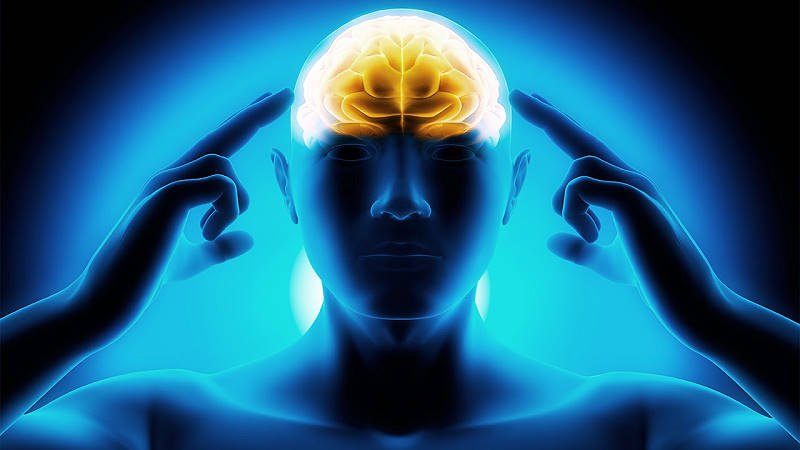 معرفی مایکل هایت
